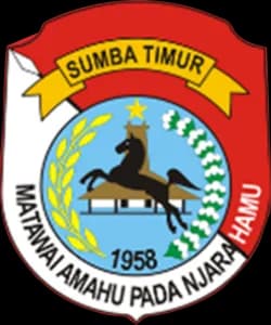 Pemerintah Daerah